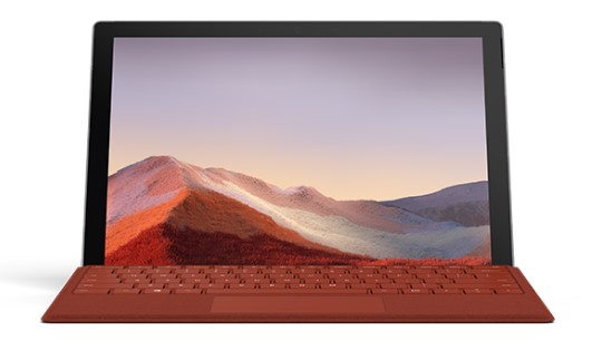 皇桐镇清洁和维护 Surface
